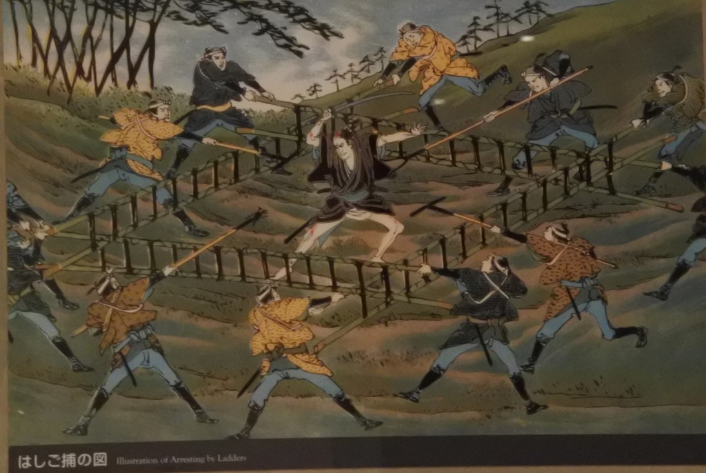 Meiji ArrestbyLadders